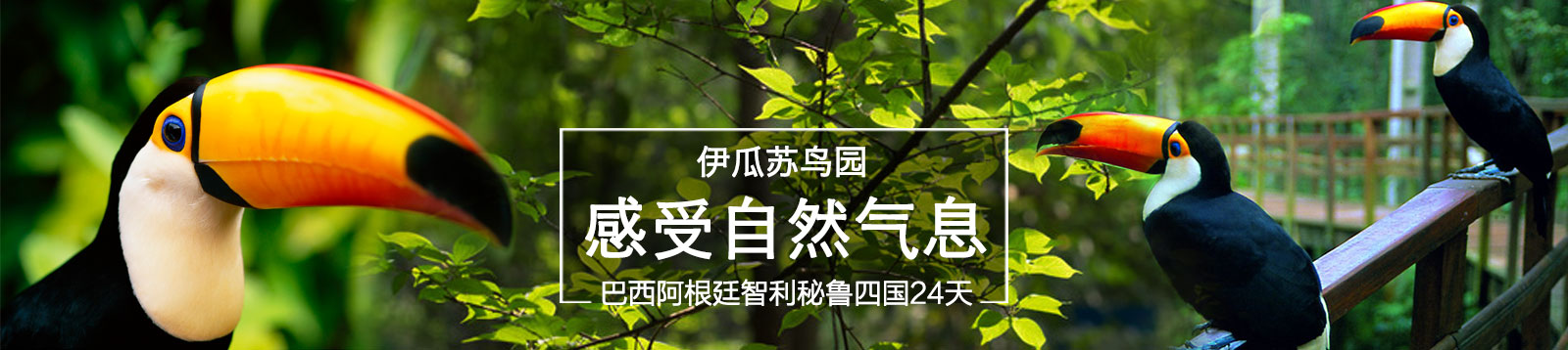 【经典系列】I线：巴西、阿根廷、智利、秘鲁15天  精品游